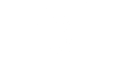 Bad Hare logo